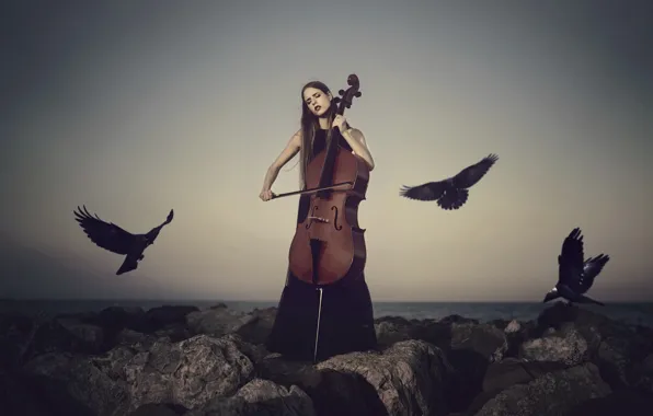Картинка девушка, птицы, виолончель