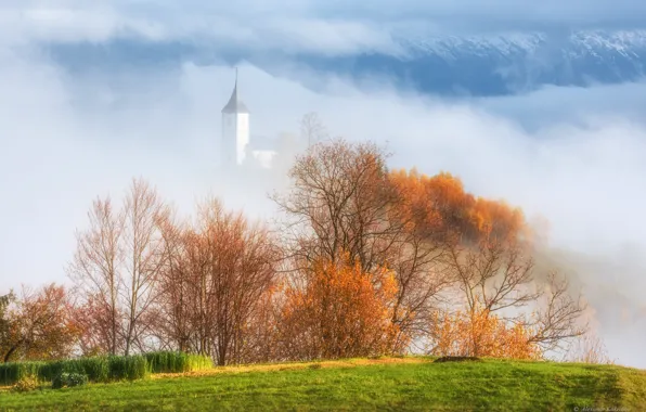 Картинка осень, деревья, пейзаж, природа, туман, церковь, кусты, Словения