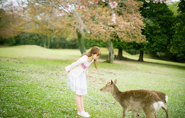 Grass, Beautiful, Asian, Model, Woman, Pretty, Outdoor, Deer