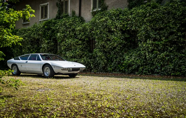 Lamborghini, Классика, Белая, Classic, White, Ламборгини, Urraco
