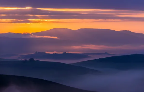 Поле, пейзаж, туман