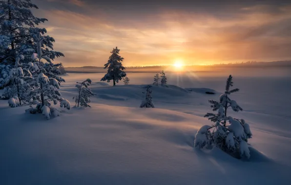 Зима, лучи, снег, деревья, закат, природа, Норвегия, Norway