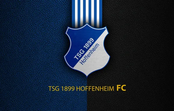 Wallpaper, sport, logo, football, Bundesliga, TSG 1899 Hoffenheim