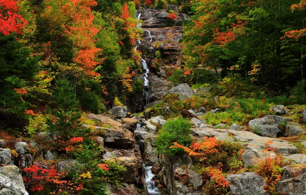 Картинка осень, лес, деревья, горы, природа, скалы, водопад, colors