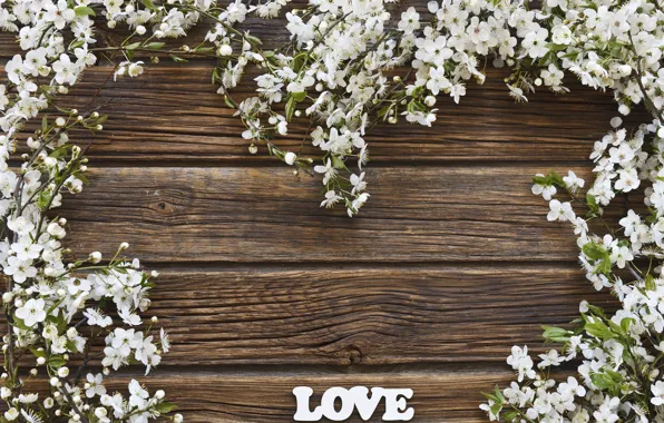 Цветы, фон, весна, LOVE
