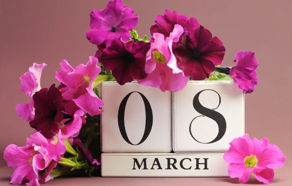 Картинка цветы, 8 марта, дата, поздравление, петунья, женский день