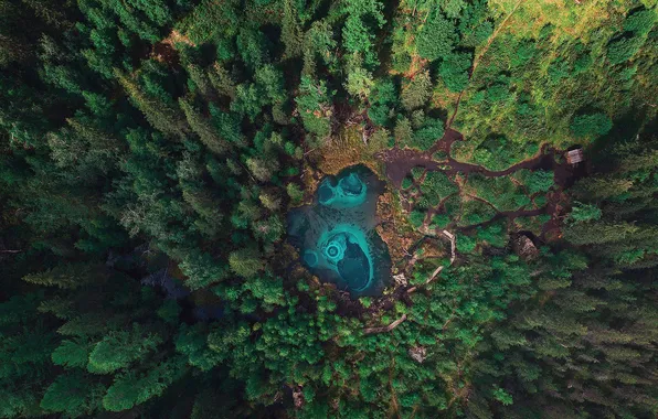 Картинка forest, blue, water
