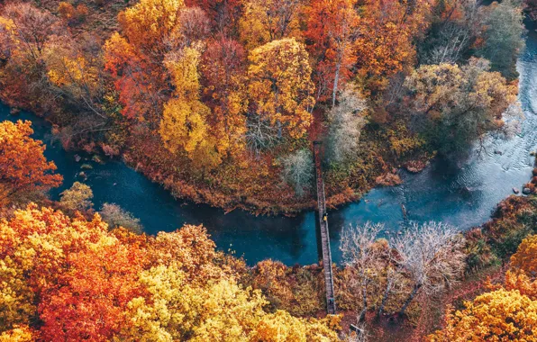 Картинка осень, парк, река