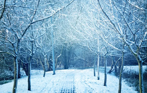 Картинка зима, снег, деревья, пейзаж, снежинки, природа, зимний, landscape
