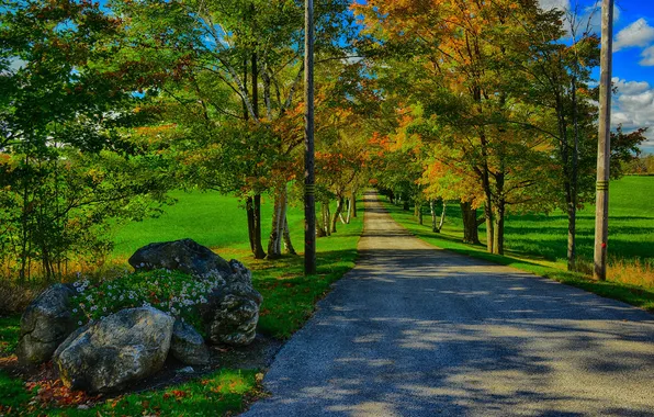 Картинка дорога, осень, трава, деревья, камни