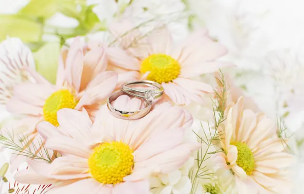 Картинка кольца, свадьба, Обручальные