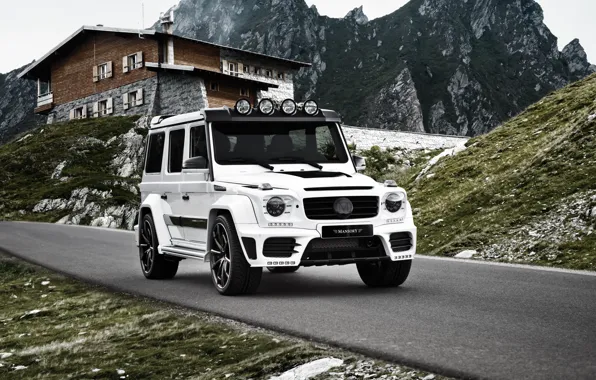 Mercedes-Benz, мерседес, гелендваген, Mansory, G-Class, W463