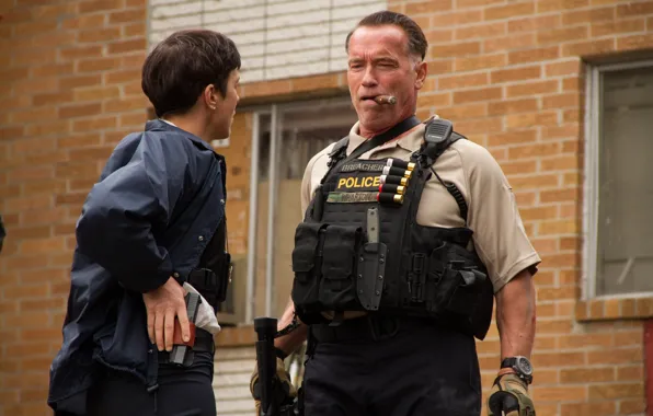 Special Forces, Sabotage, schwarzenegger