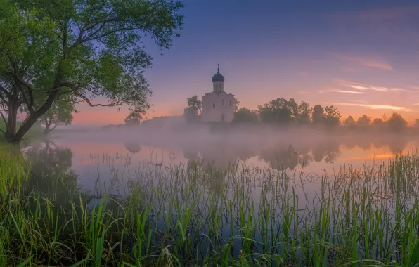 Картинка трава, деревья, пейзаж, природа, река, рассвет, утро, церковь