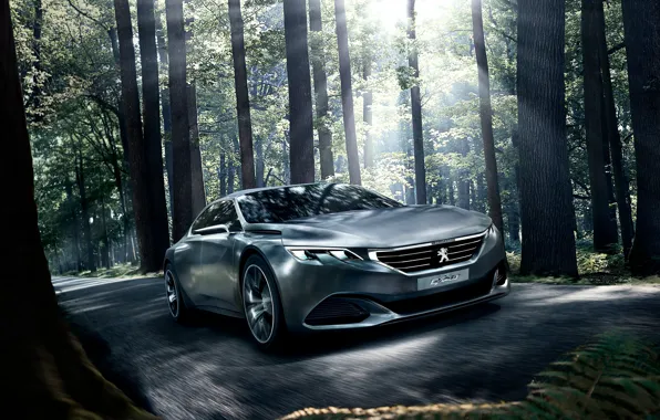 Картинка Concept, концепт, Peugeot, пежо, Exalt