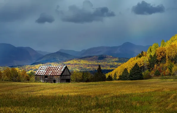 Осень, природа, дом