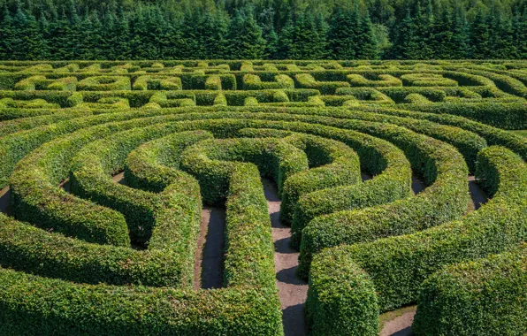Garden, labyrinth, plants