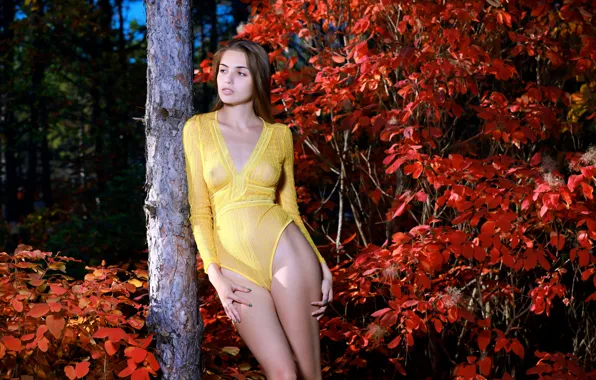 Nature, Model, See Through, Pose, Elle Tan, Bodysuit, Don't Cha Wish