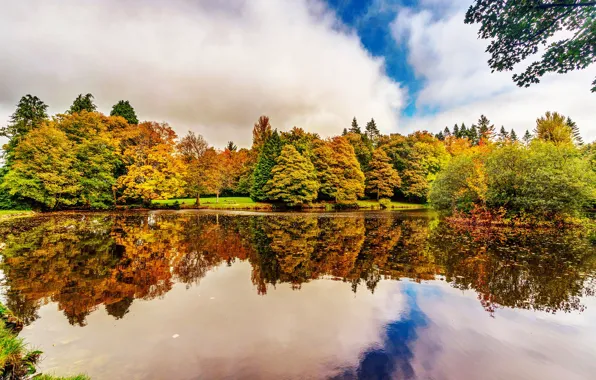Осень, деревья, отражение, река, сад, Ирландия, Botanic Gardens Dublin