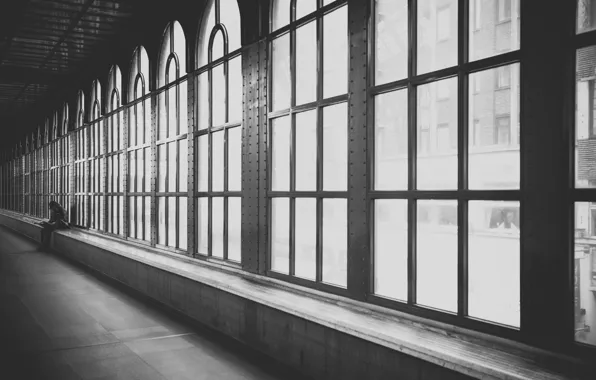 Windows, man, walk, black and white, human, guy, male, b/w