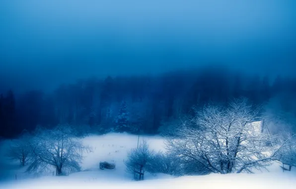 Картинка зима, снег, природа, туман, вечер