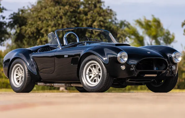 Shelby, 1965, единственный экземпляр, Cobra 289, Shelby Cobra 289