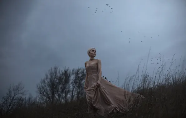 Девушка, птицы, ветер, платье, Aleah Michele, The side of a dying hill