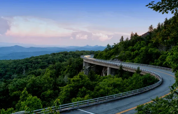 Дорога, лес, горы, Аппалачи, Appalachian Mountains, Blue Ridge Parkway