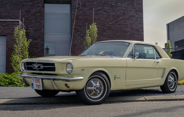 Картинка Mustang, Ford, old, 1964