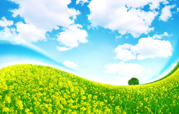 Картинка небо, трава, облака, дерево, изгиб