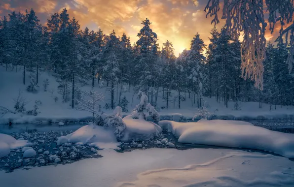 Картинка зима, лес, снег, деревья, река, Норвегия, сугробы, Norway