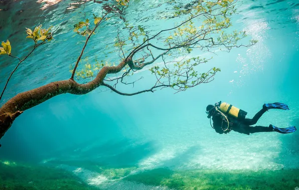 Underwater, sea, diver