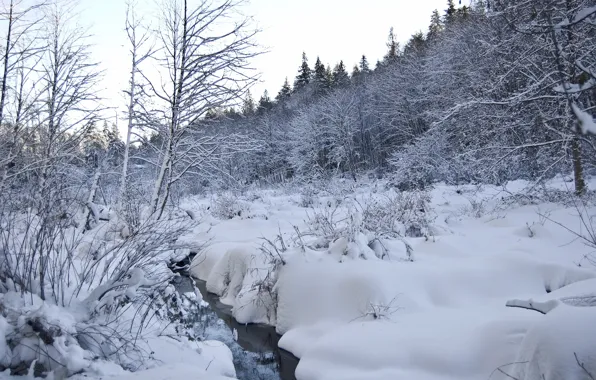 Зима, Снег, Мороз, Winter, Frost, Snow, Сугробы