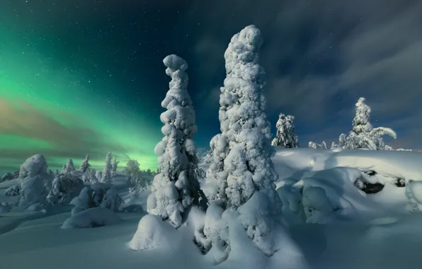 Зима, снег, деревья, пейзаж, ночь, природа, звёзды, северное сияние