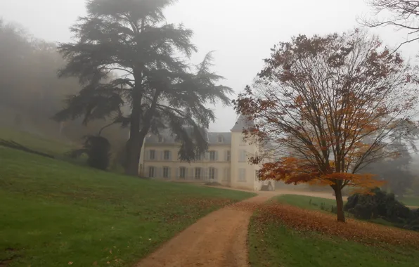 Fall, Здание, Autumn, Тропа, Building, Туман, Path, Осень