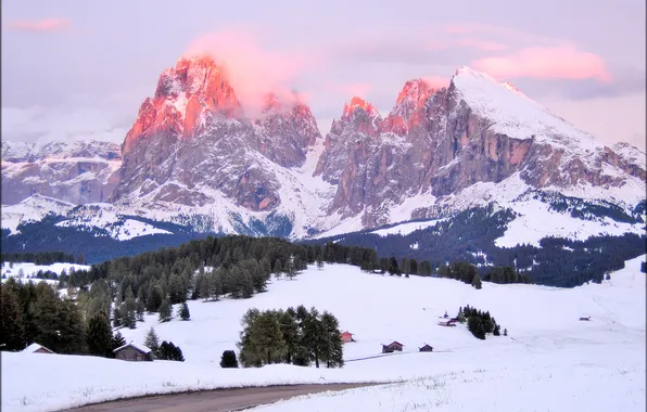 Лес, снег, горы, дома