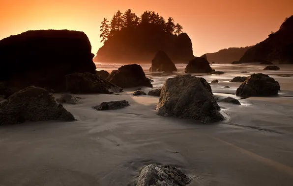 Картинка пляж, деревья, камни, скалы, остров, утро, california, Beach