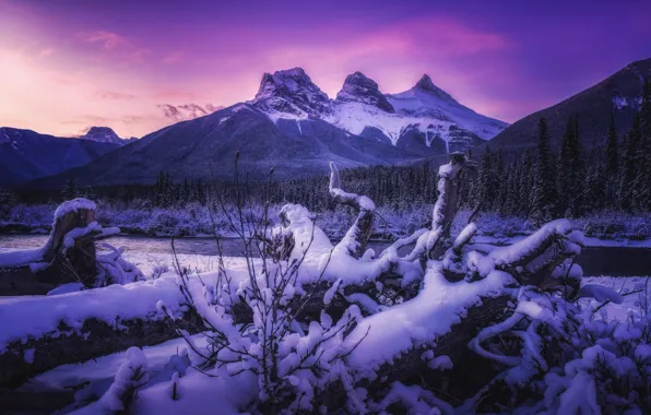 Картинка горы, зима, Canmore, Канада, река, лес, Canadian Rockies, снег