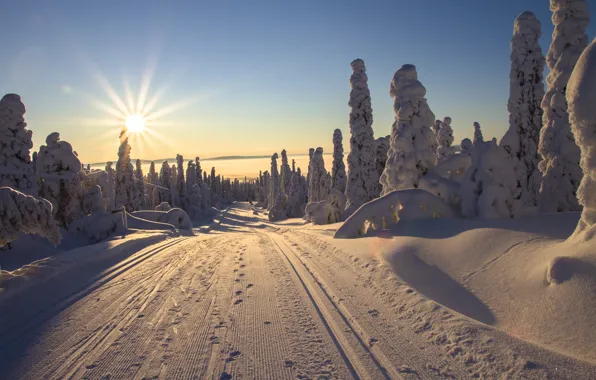 Картинка зима, дорога, солнце, лучи, снег, деревья, пейзаж, природа