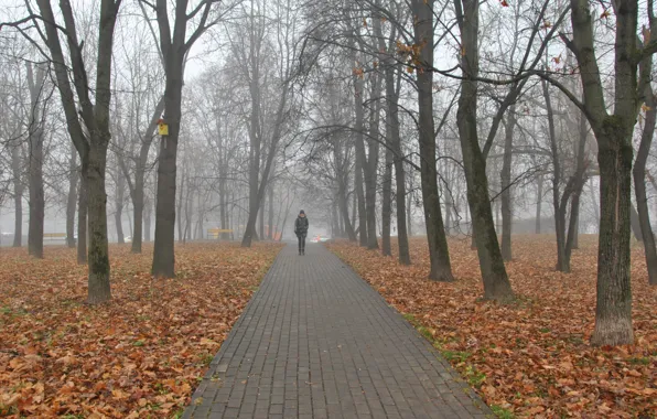 Картинка осень, город, туман, сквер