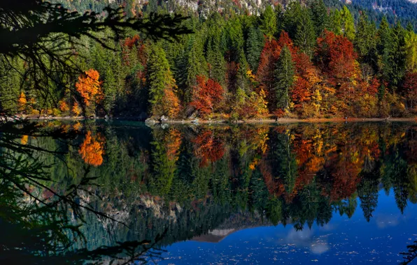 Осень, лес, деревья, озеро, отражение, Италия, Italy, Trentino
