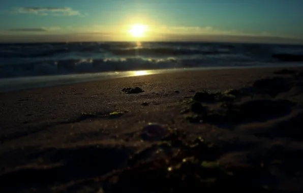 Картинка песок, море, вода, солнце, макро, лучи, пейзаж, восход