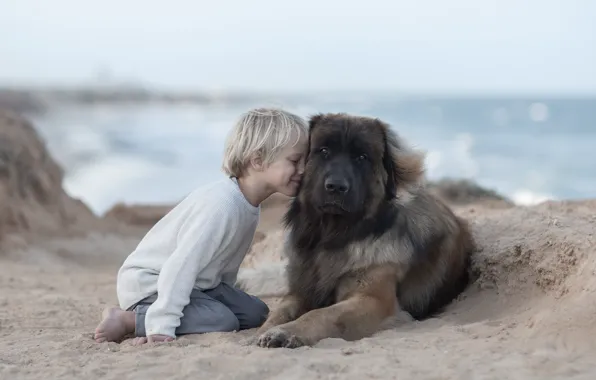 Песок, настроение, собака, мальчик, дружба, друзья, пёс, Леонбергер