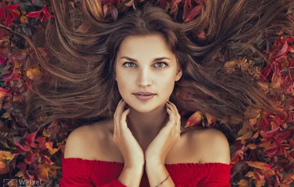 Картинка осень, взгляд, листья, девушка, лицо, волосы, портрет, руки