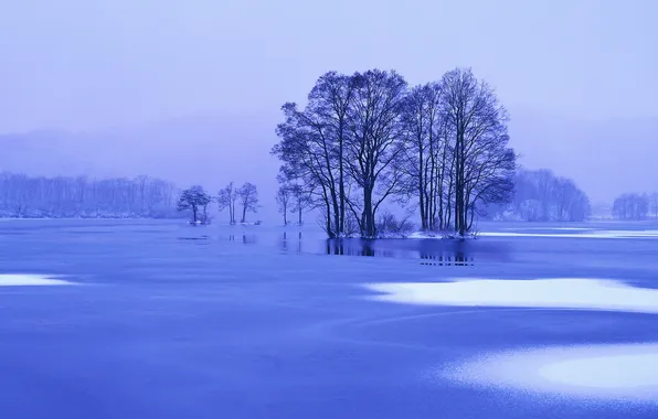 Картинка лед, зима, снег, деревья, пейзаж, синий, природа, Озеро