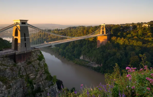 Цветы, мост, река, Англия, панорама, England, Bristol, Бристоль