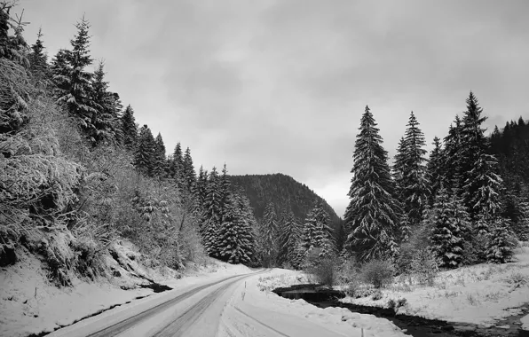Road, winter, snow, stream