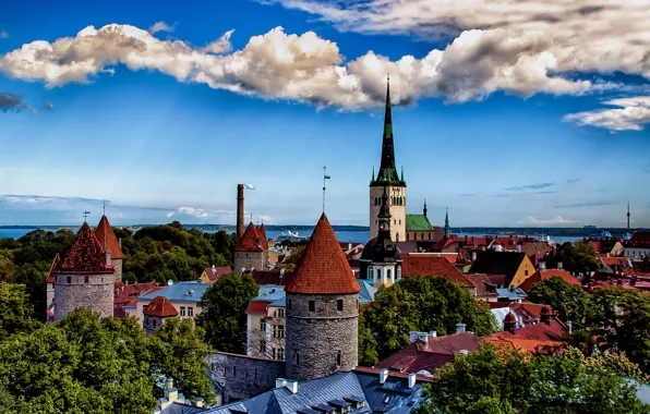 Картинка море, деревья, пейзаж, башня, дома, Эстония, панорама, Таллинн