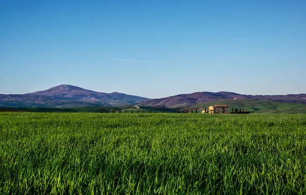 Картинка поле, небо, трава, горы, дом, италия