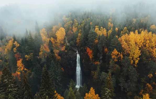 Осень, лес, горы, мост, туман, скалы, водопад, поток